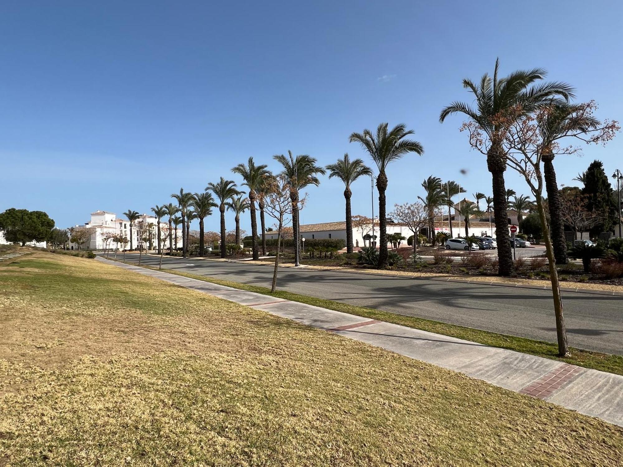 Apartment In Hacienda Riquelme Golf Resort Sucina Buitenkant foto